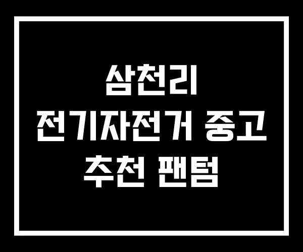 삼천리 전기자전거 중고 추천 팬텀