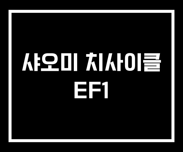 샤오미 치사이클 EF1