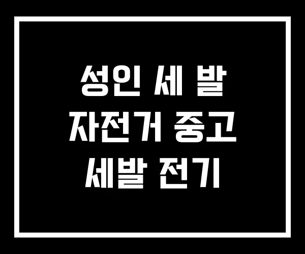 성인 세 발 자전거 중고 세발 전기 성인 세 발 자전거 중고 세발 전기