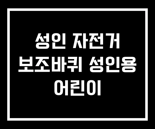 성인 자전거 보조바퀴 성인용 어린이
