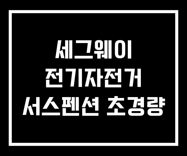 세그웨이 전기자전거 서스펜션 초경량 세그웨이 전기자전거 서스펜션 초경량
