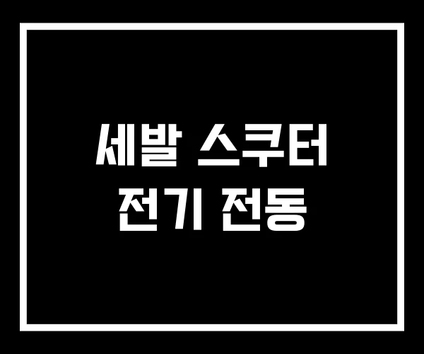 세발 스쿠터 전기 전동