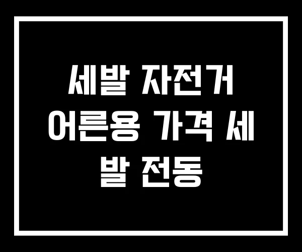 세발 자전거 어른용 가격 세 발 전동 세발 자전거 어른용 가격 세 발 전동
