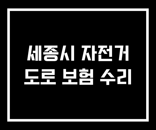 세종시 자전거 도로 보험 수리 세종시 자전거 도로 보험 수리