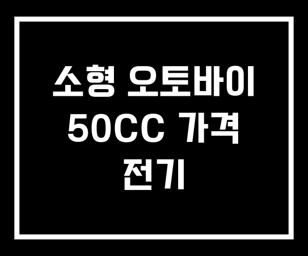소형 오토바이 50CC 가격 전기 소형 오토바이 50CC 가격 전기