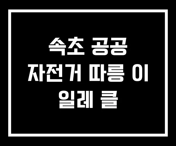 속초 공공 자전거 따릉 이 일레 클