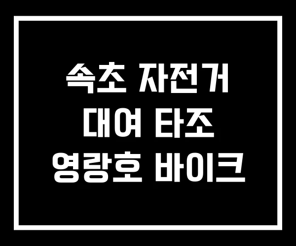 속초 자전거 대여 타조 영랑호 바이크