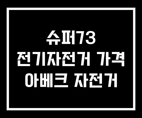 슈퍼73 전기자전거 가격 아베크 자전거