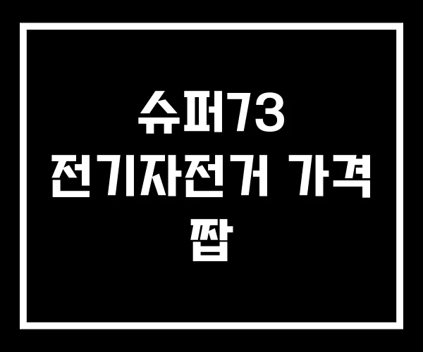 슈퍼73 전기자전거 가격 짭 슈퍼73 전기자전거 가격 짭