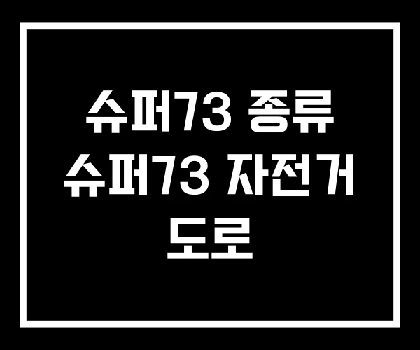 슈퍼73 종류 슈퍼73 자전거 도로