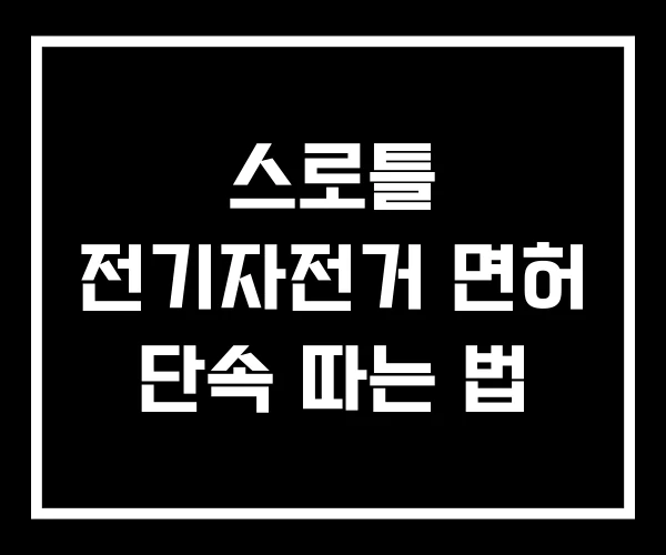 스로틀 전기자전거 면허 단속 따는 법 스로틀 전기자전거 면허 단속 따는 법