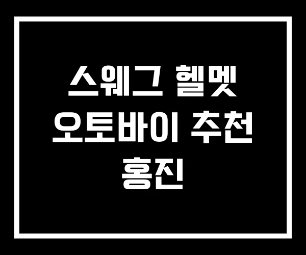 스웨그 헬멧 오토바이 추천 홍진