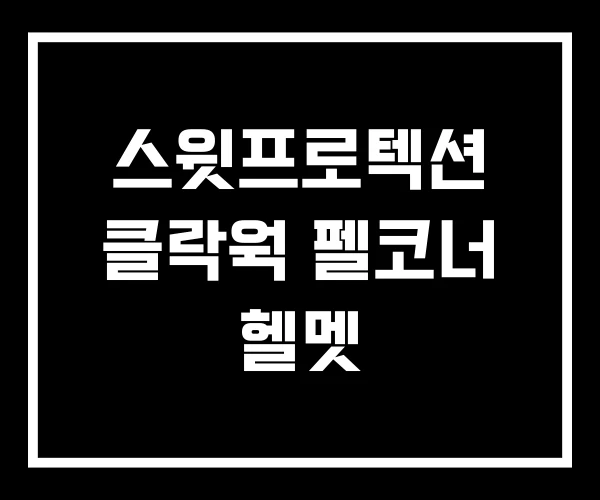 스윗프로텍션 클락웍 펠코너 헬멧