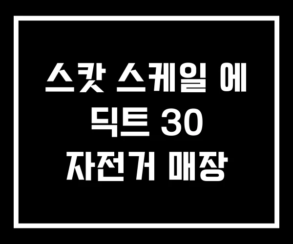 스캇 스케일 에 딕트 30 자전거 매장 스캇 스케일 에 딕트 30 자전거 매장