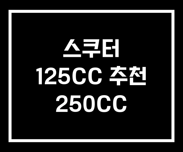스쿠터 125CC 추천 250CC