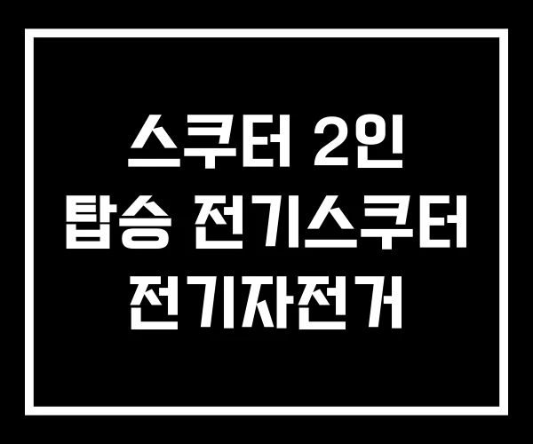 스쿠터 2인 탑승 전기스쿠터 전기자전거