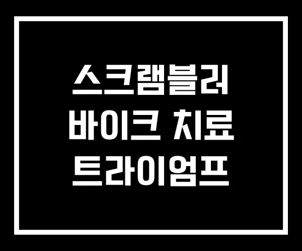 스크램블러 바이크 치료 트라이엄프