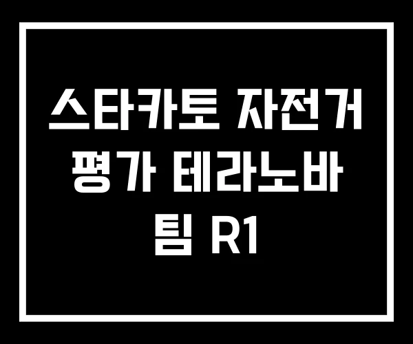 스타카토 자전거 평가 테라노바 팀 R1