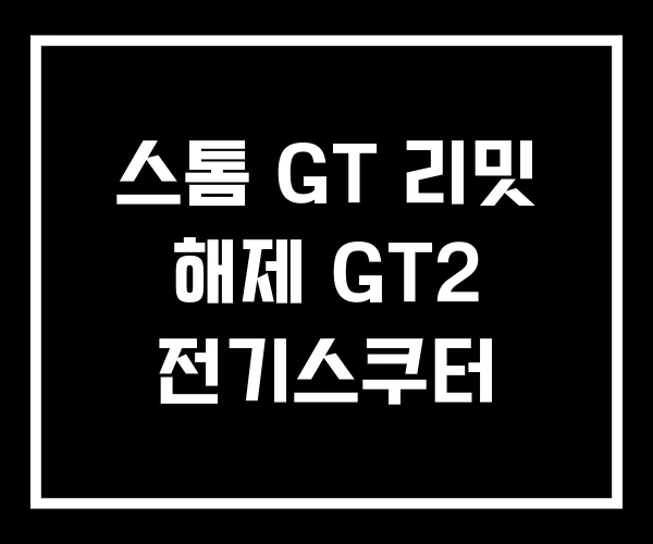 스톰 GT 리밋 해제 GT2 전기스쿠터 스톰 GT 리밋 해제 GT2 전기스쿠터