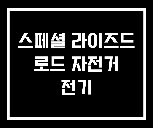 스페셜 라이즈드 로드 자전거 전기