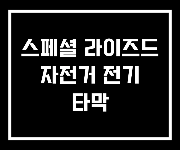 스페셜 라이즈드 자전거 전기 타막 스페셜 라이즈드 자전거 전기 타막