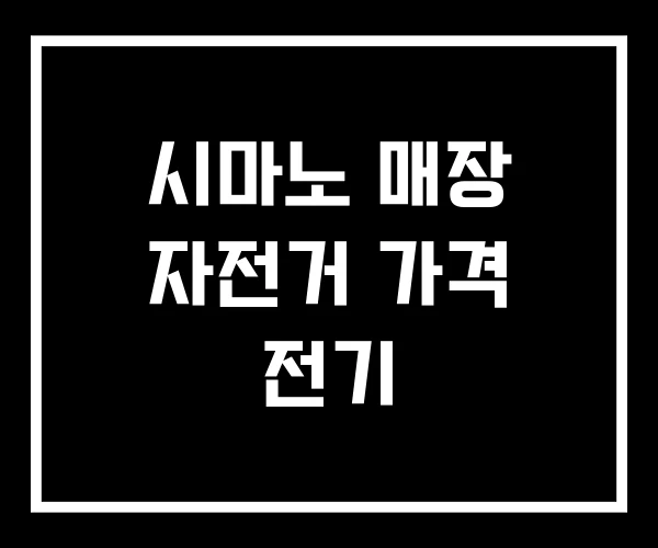 시마노 매장 자전거 가격 전기