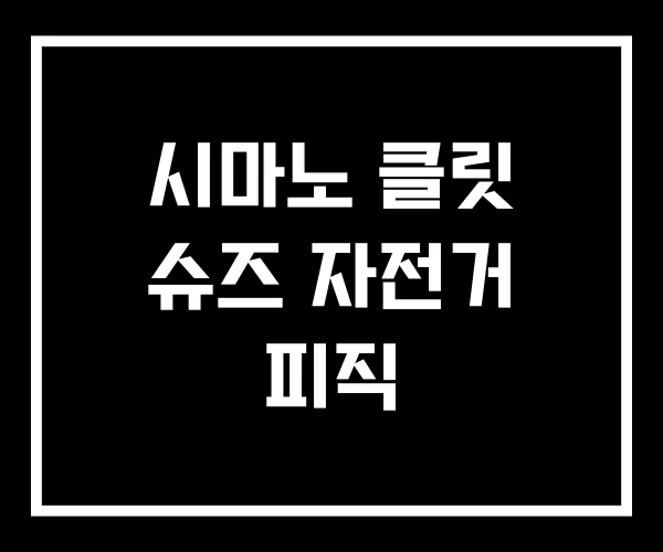 시마노 클릿 슈즈 자전거 피직