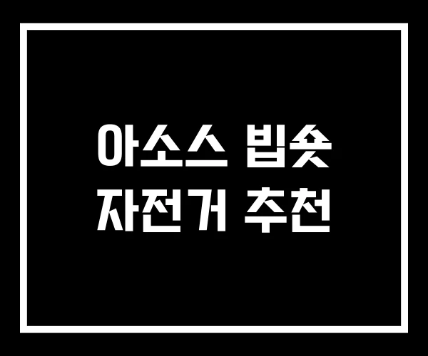 아소스 빕숏 자전거 추천 아소스 빕숏 자전거 추천