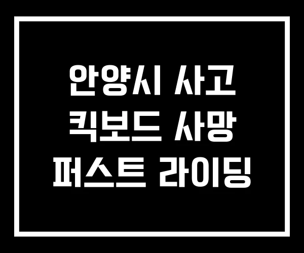 안양시 사고 킥보드 사망 퍼스트 라이딩 안양시 사고 킥보드 사망 퍼스트 라이딩
