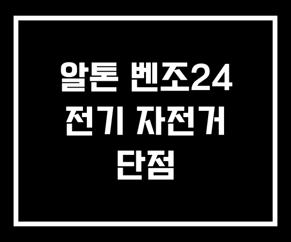 알톤 벤조24 전기 자전거 단점