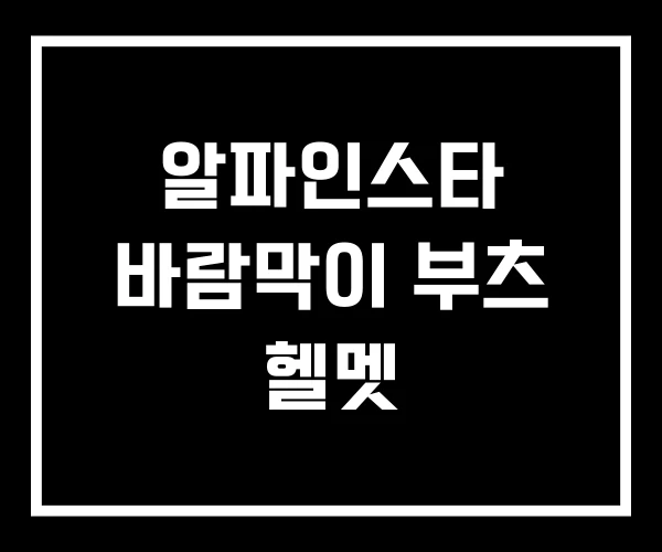 알파인스타 바람막이 부츠 헬멧