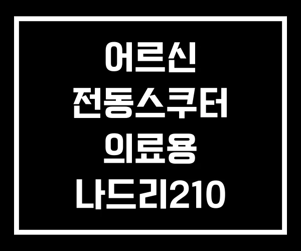 어르신 전동스쿠터 의료용 나드리210 어르신 전동스쿠터 의료용 나드리210