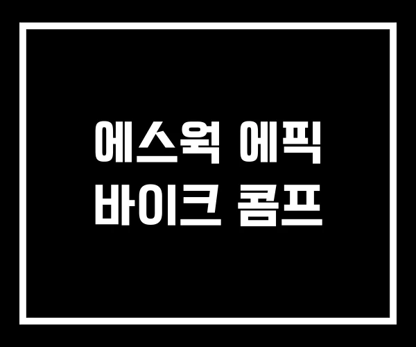 에스웍 에픽 바이크 콤프