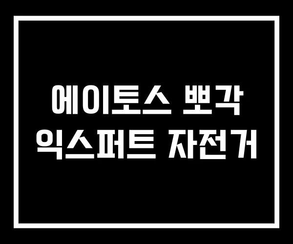 에이토스 뽀각 익스퍼트 자전거