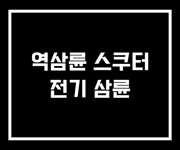 역삼륜 스쿠터 전기 삼륜
