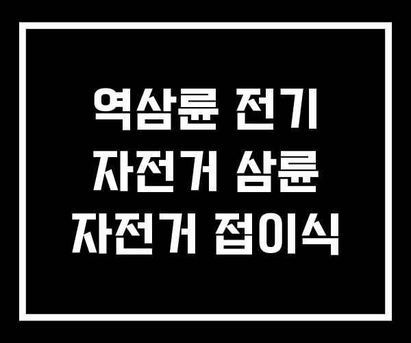 역삼륜 전기 자전거 삼륜 자전거 접이식