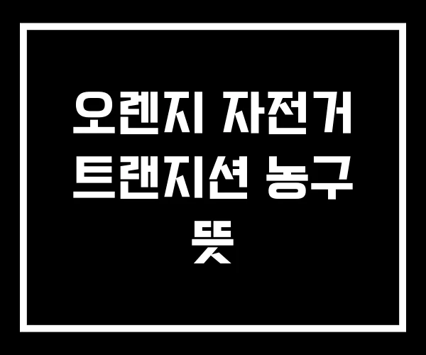 오렌지 자전거 트랜지션 농구 뜻