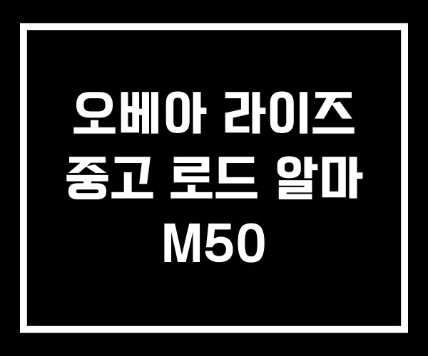 오베아 라이즈 중고 로드 알마 M50 오베아 라이즈 중고 로드 알마 M50