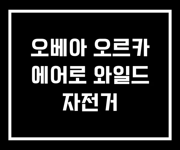 오베아 오르카 에어로 와일드 자전거