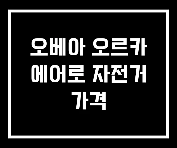 오베아 오르카 에어로 자전거 가격