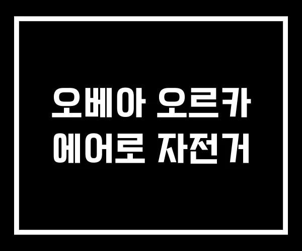오베아 오르카 에어로 자전거 오베아 오르카 에어로 자전거