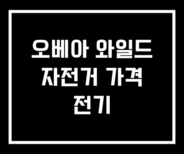 오베아 와일드 자전거 가격 전기 오베아 와일드 자전거 가격 전기