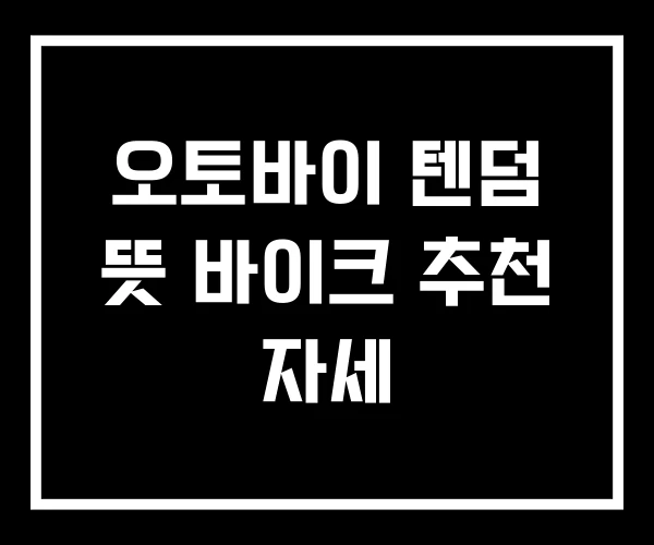 오토바이 텐덤 뜻 바이크 추천 자세 오토바이 텐덤 뜻 바이크 추천 자세