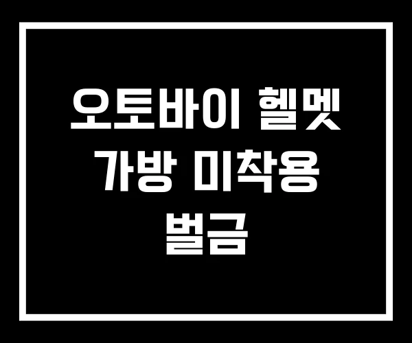 오토바이 헬멧 가방 미착용 벌금
