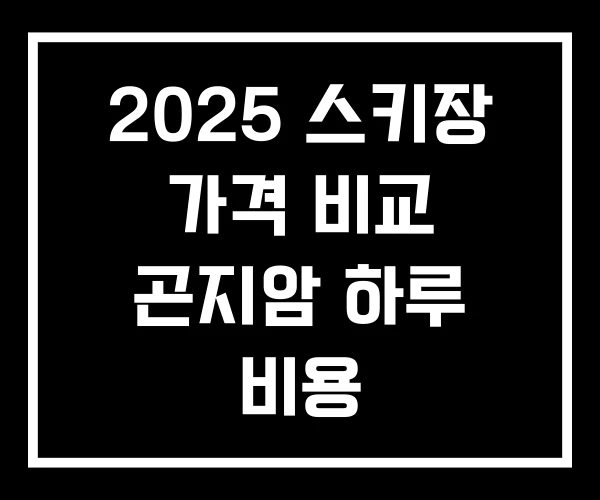 2025 스키장 가격 비교 곤지암 하루 비용