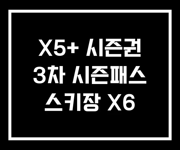 X5+ 시즌권 3차 시즌패스 스키장 X6