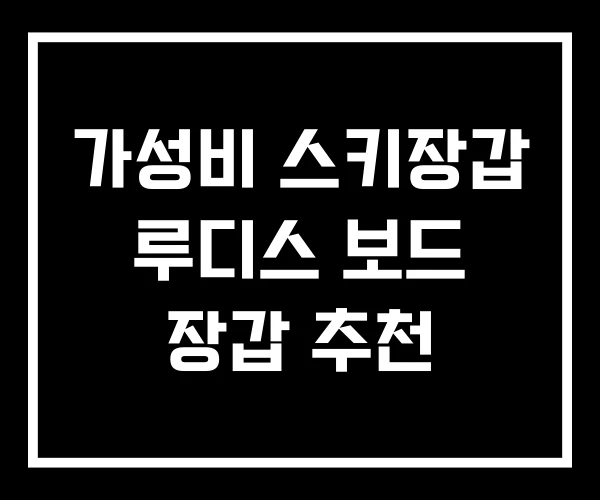 가성비 스키장갑 루디스 보드 장갑 추천 가성비 스키장갑 루디스 보드 장갑 추천