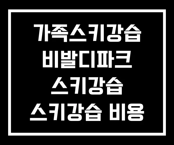 가족스키강습 비발디파크 스키강습 스키강습 비용