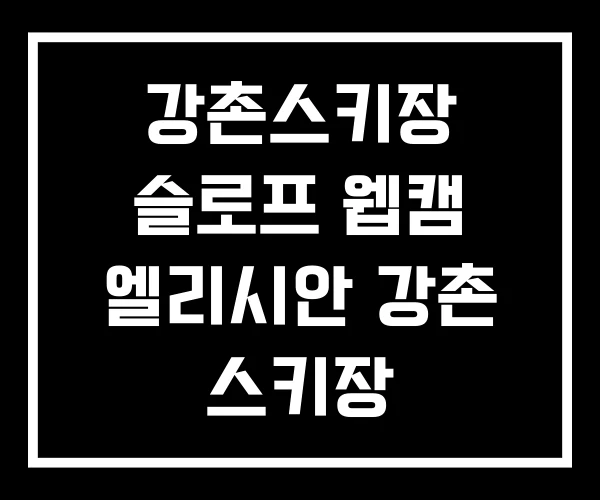 강촌스키장 슬로프 웹캠 엘리시안 강촌 스키장