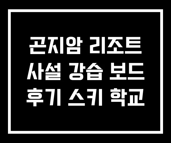 곤지암 리조트 사설 강습 보드 후기 스키 학교